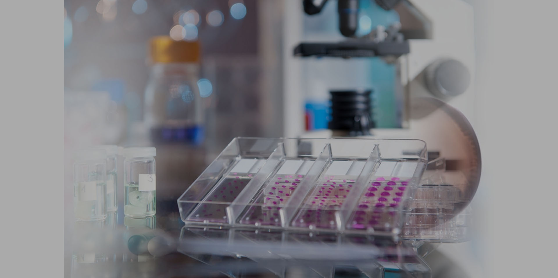 浙江正實(shí)輻照技術(shù)有限公司