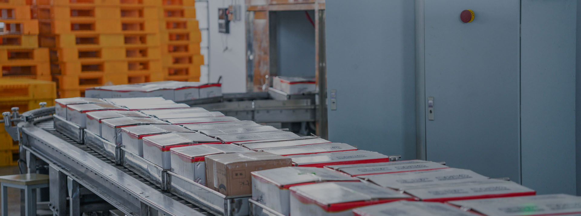 輻照項(xiàng)目